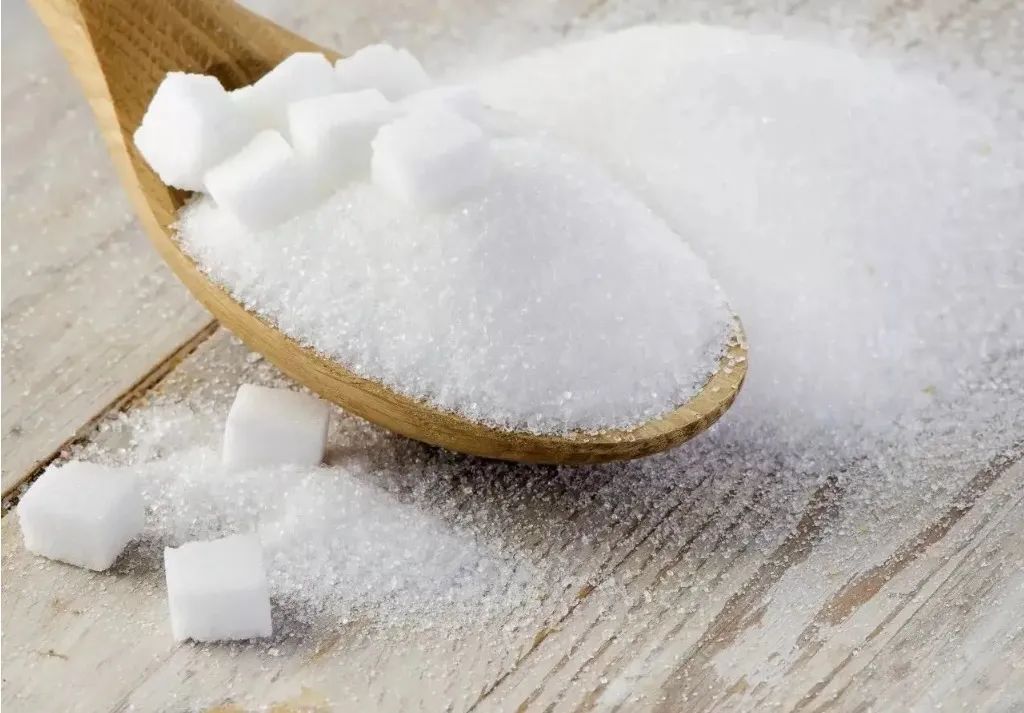 2019年5月23日白糖现货报价,白糖现货价格走势预测