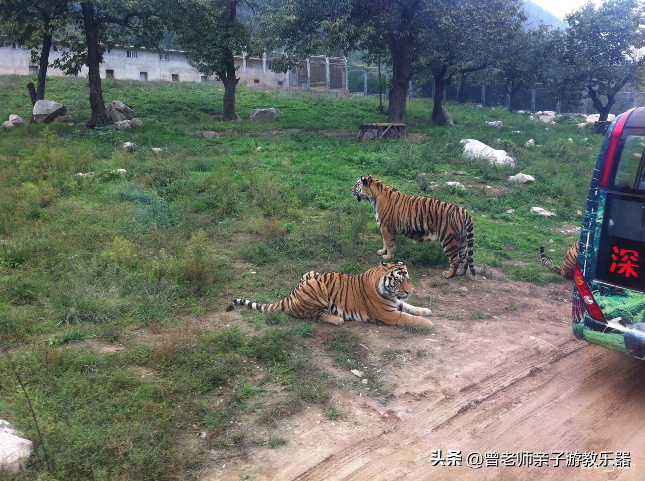 西安旅游五大必去景点秦岭,西安秦岭风景区旅游攻略