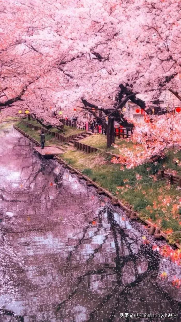 5本超高分的穿越小说,重生或穿越708090年代的书