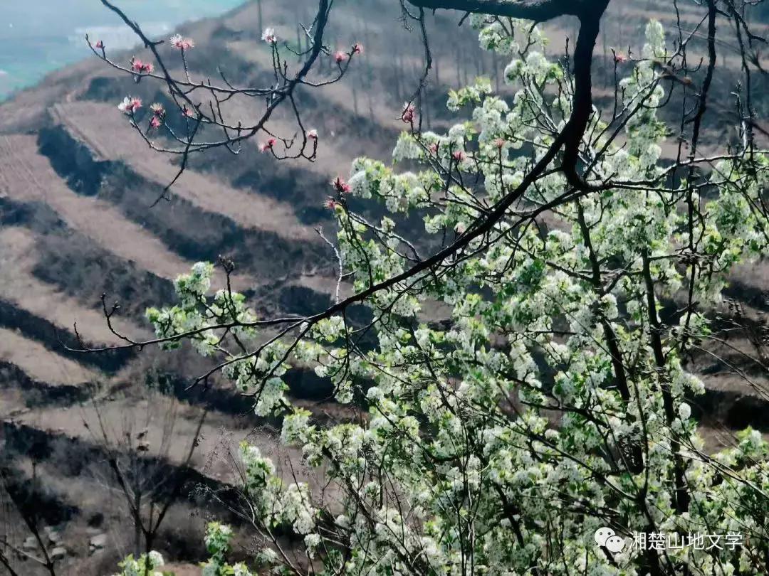 母亲是文盲沟通很困难,妈妈是文盲想认字