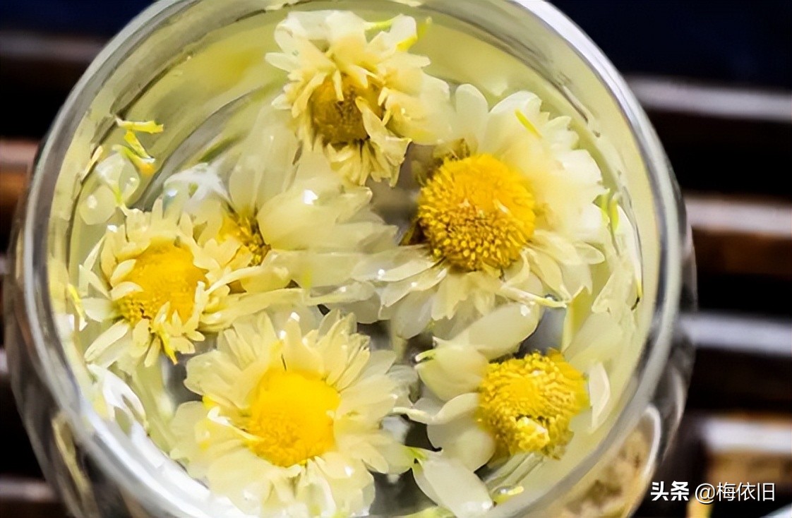 夏天喝哪一种菊花茶比较好,夏天清火菊花茶