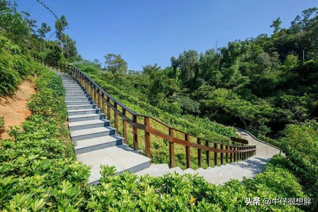 冬天澳门亲子遛娃,去澳门带着小孩逛哪里好玩