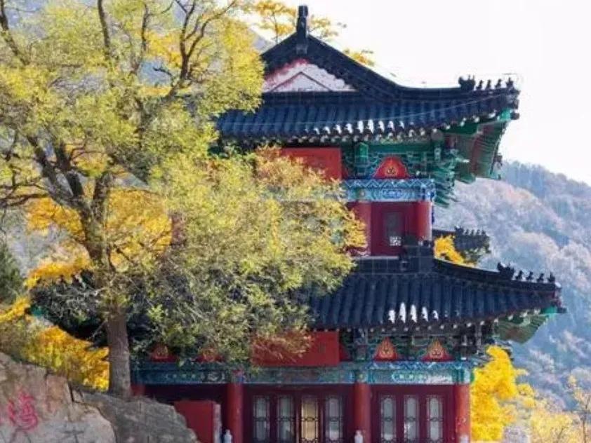 连云港旅游攻略花果山,连云港旅游攻略花果山连岛一日游