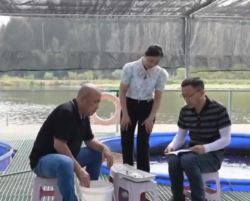 湖北女子独创大桶养鱼新模式，一桶鱼能卖到5万元，靠此年入百万
