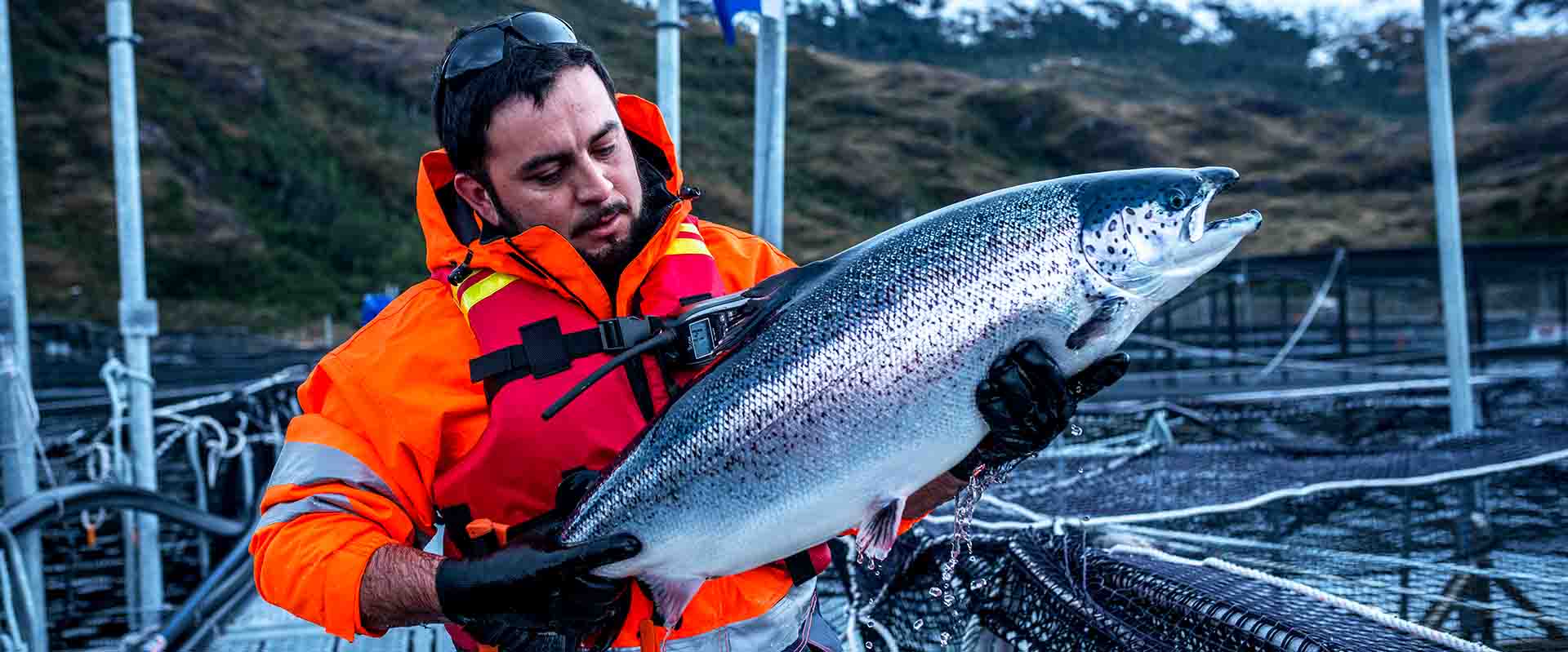 上市公司丨佳沃食品携手章管家，共建企业数智化管理生态