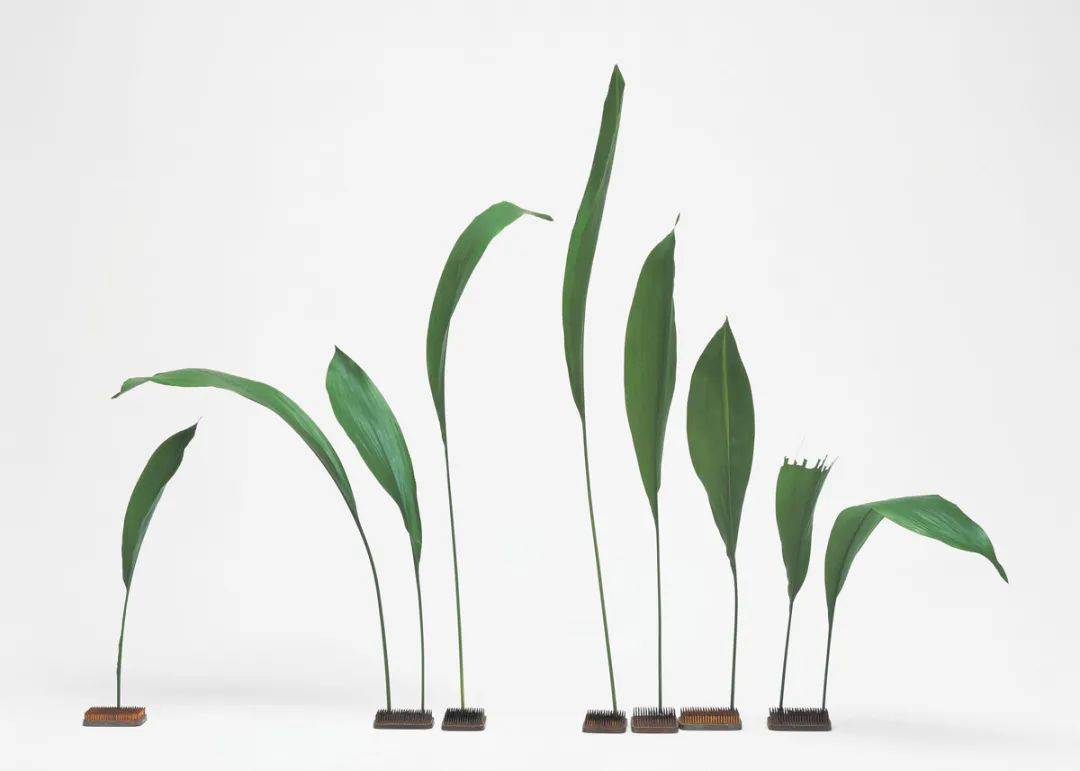 日式插花技法,日式插花的特色及技巧