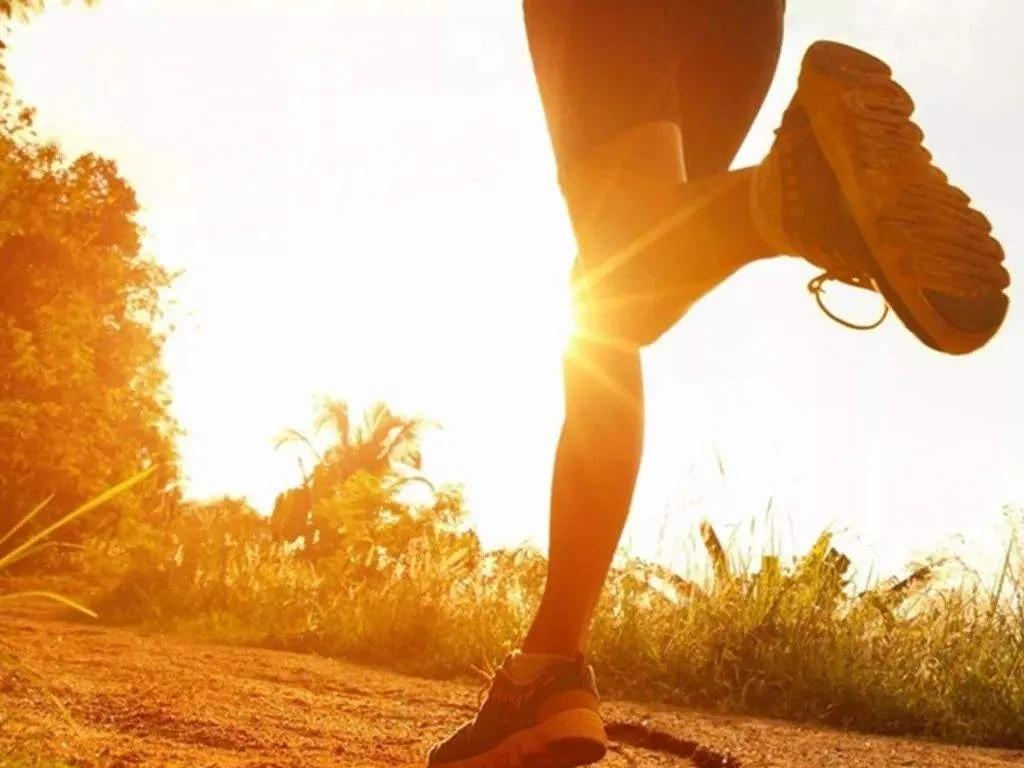 为什么看别人跑步那么轻松,跑步越跑越上瘾越不跑越不想跑