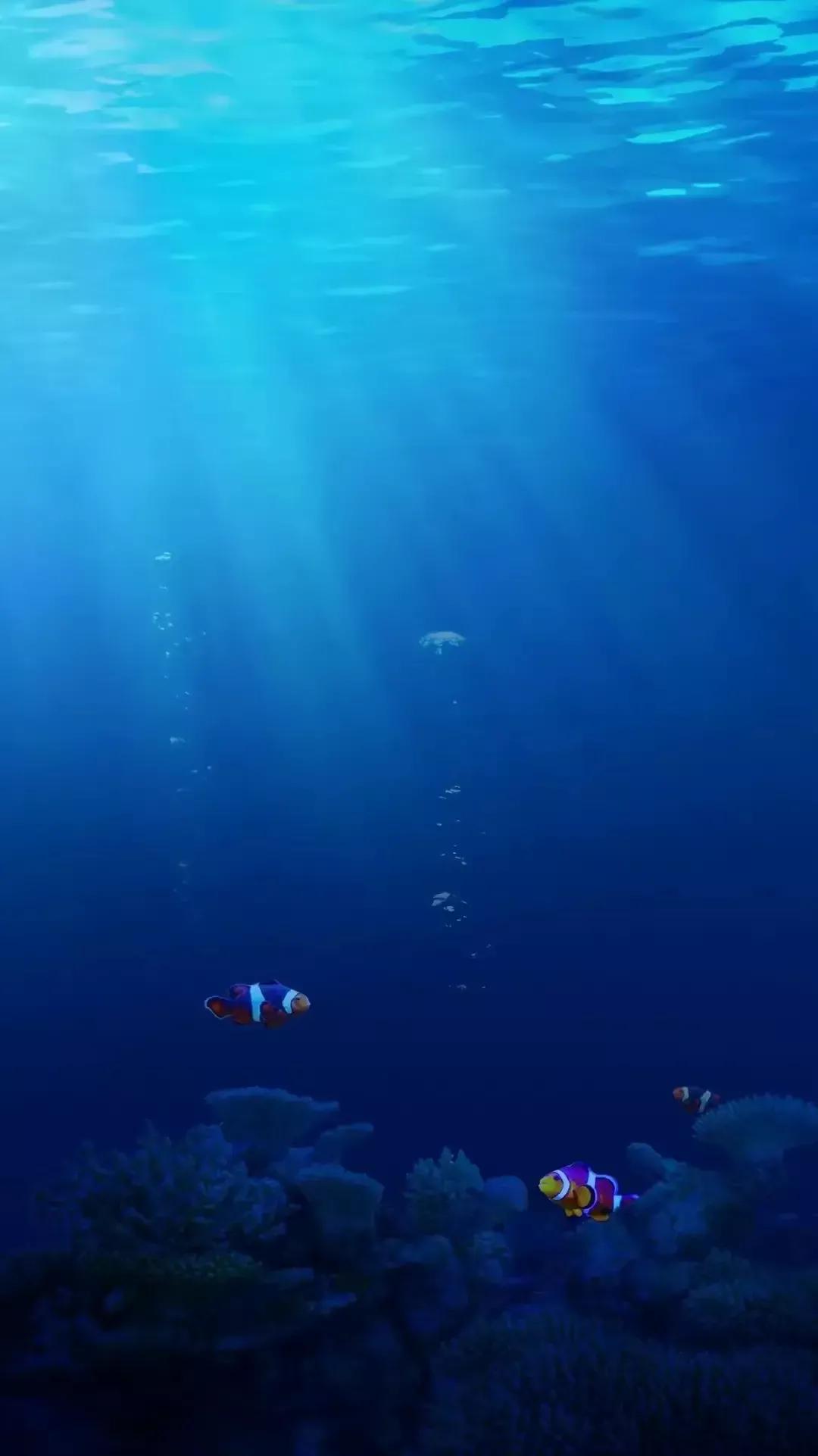 大海壁纸明亮,大海壁纸