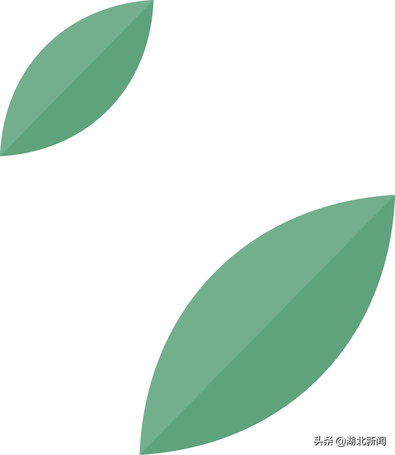 长江有多宽航拍,长江多宽阔百米高空航拍