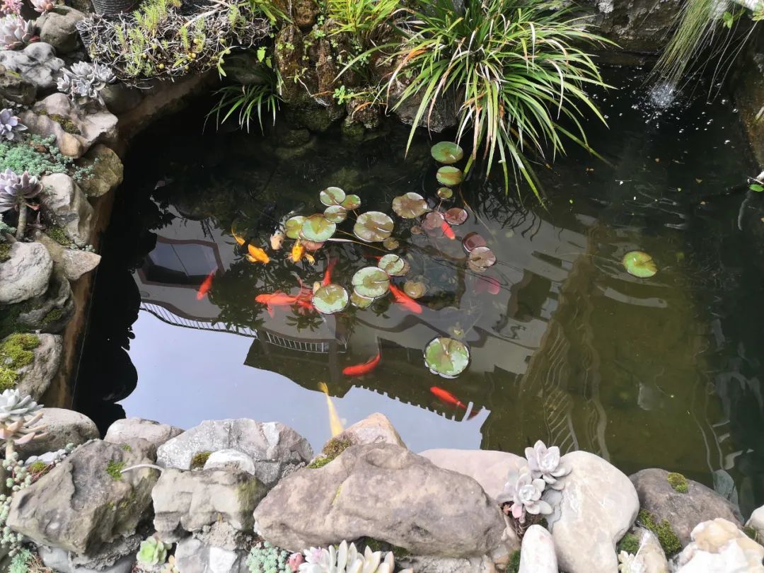 贵阳农村自建房出租哪里找,贵阳出租农村院子