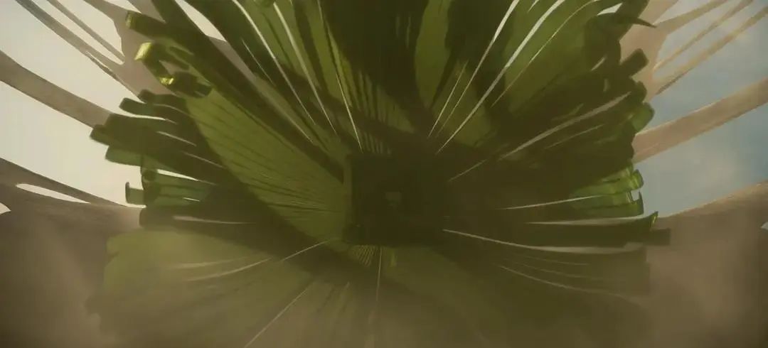 不要抬头看月亮知乎,不要抬头看月亮免费全文