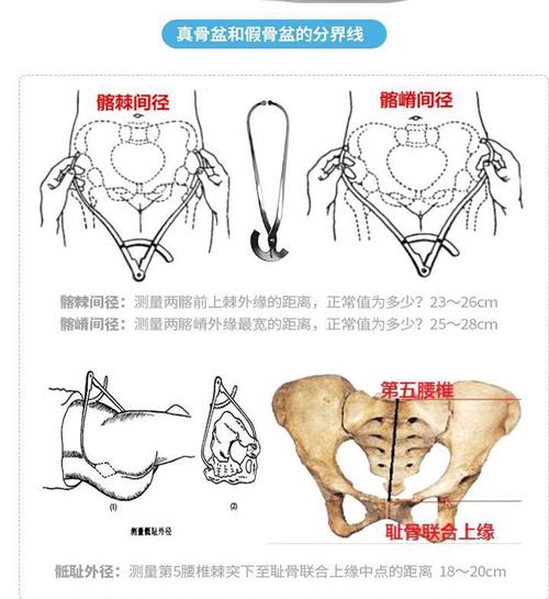 孕期孕检全攻略,厦门生娃产检全攻略