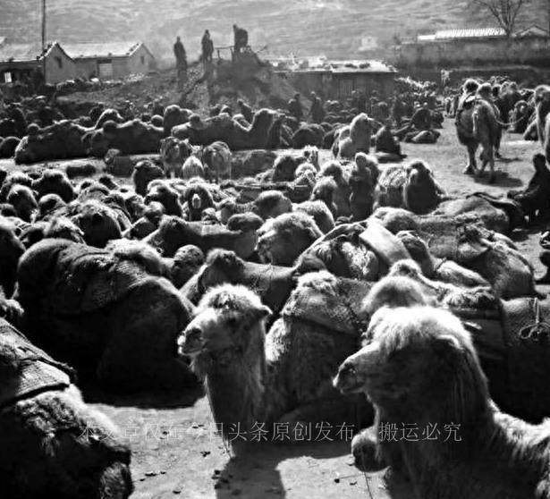 中交二航局全国布局,中交二航局现在在造什么桥