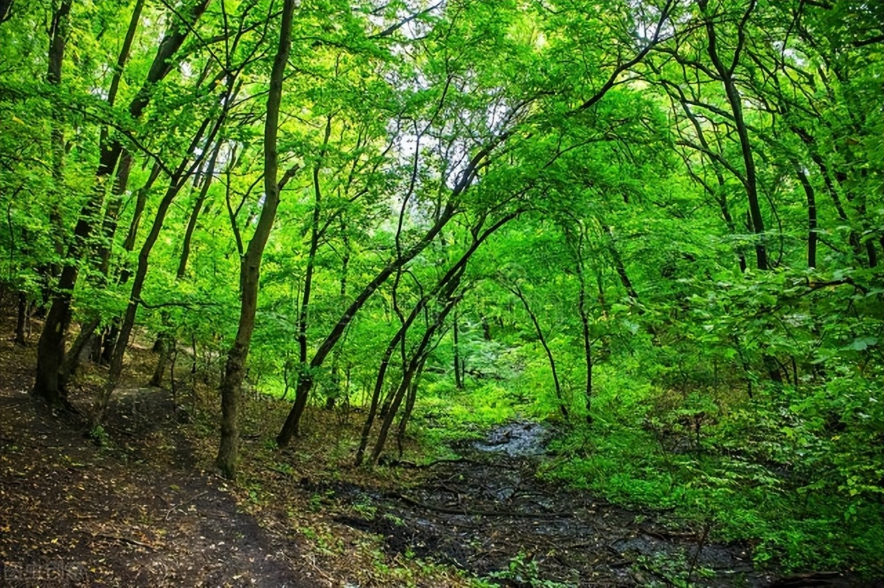 散文刹那瞬间,散文转眼之间