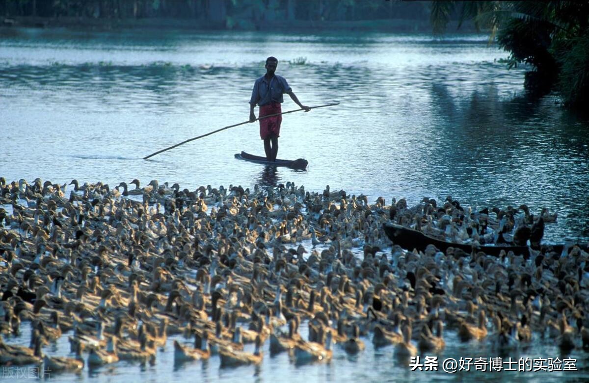 印度人怎么看待印度与中国的差距,为什么印度人总感觉比中国人高