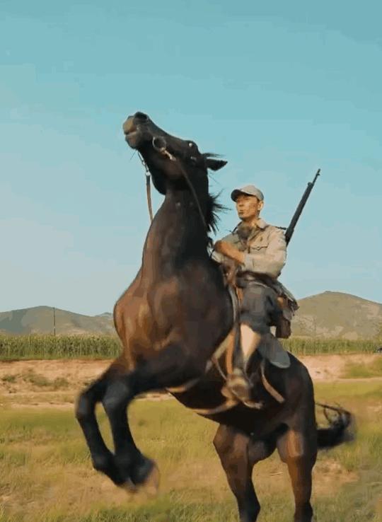 假骑行假徒步犯罪吗,假马骑着马跑