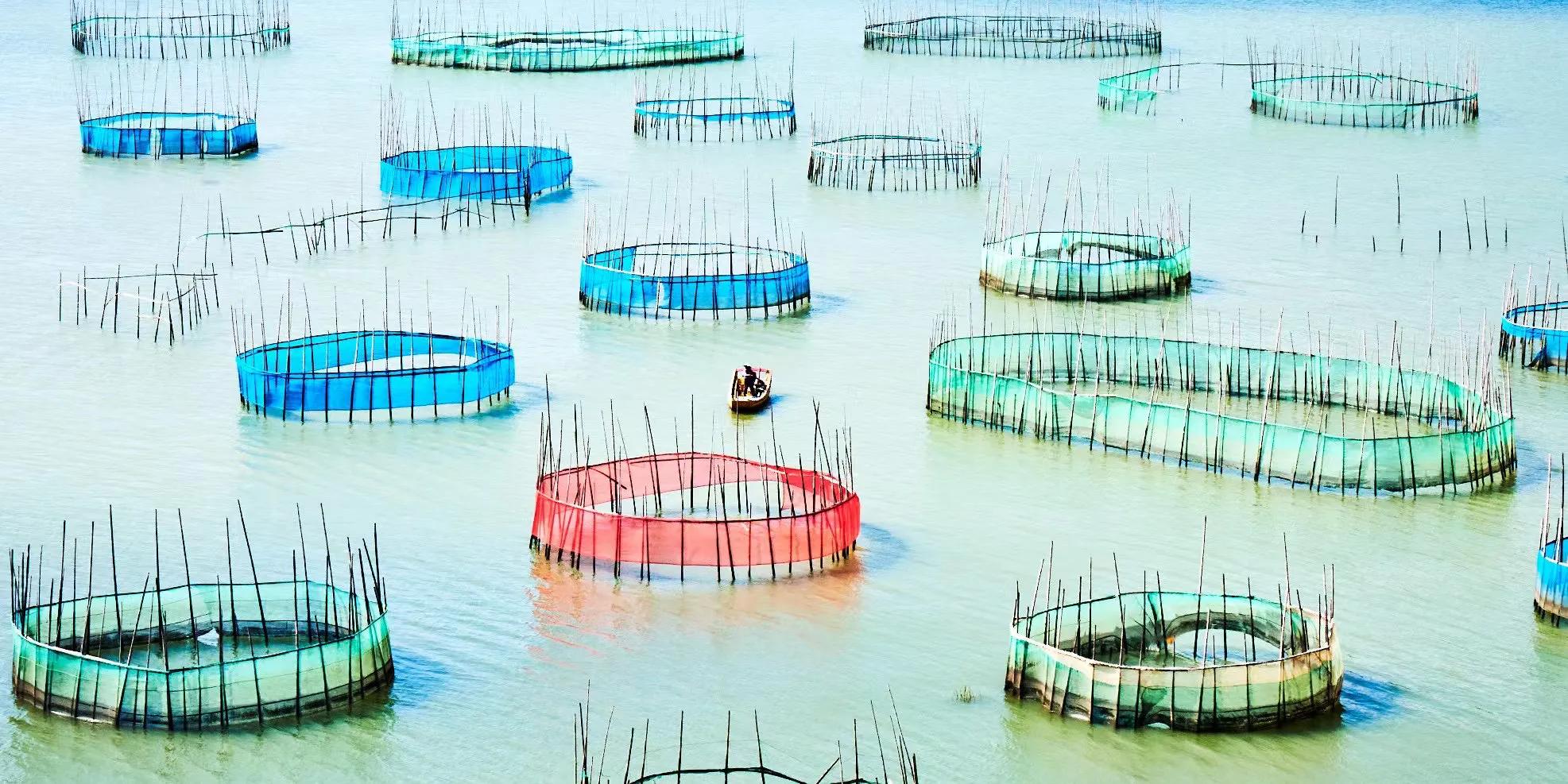 坚持和认真的态度短句,坚持是一种态度文案