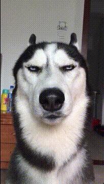 昨晚上喝多了把这个扛回了家，现在酒醒了，我该怎么办？