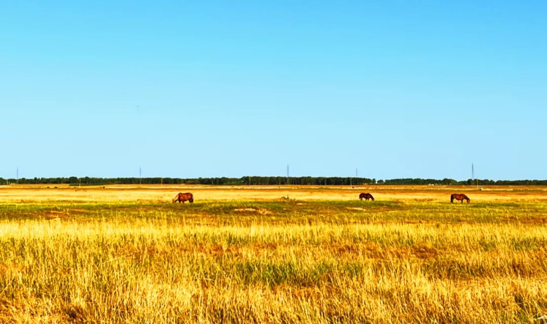 示范家庭农场申报推荐表填写,家庭农场财务网上申报怎么报