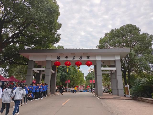 realmeq3s上手体验,realmeq3s深度评测