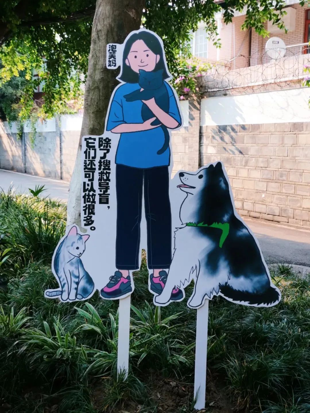 成都年轻人值得去的地方,成都年轻人买服装去哪里