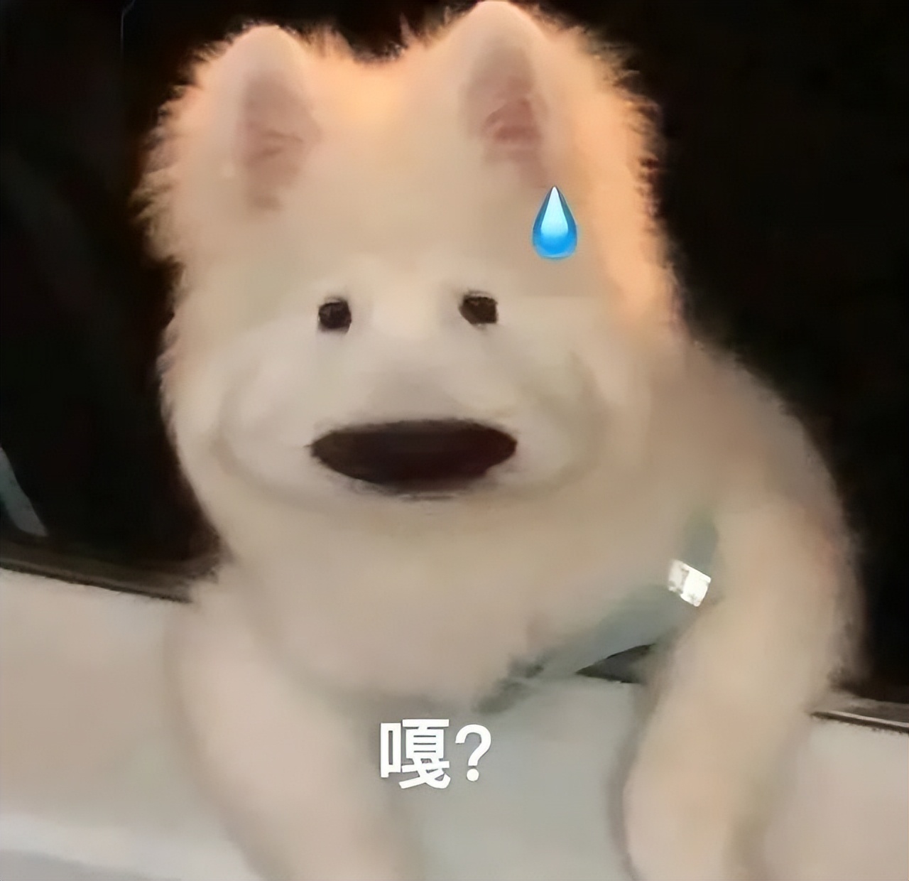 贩剑表情包评论区,贩剑表情包不回消息