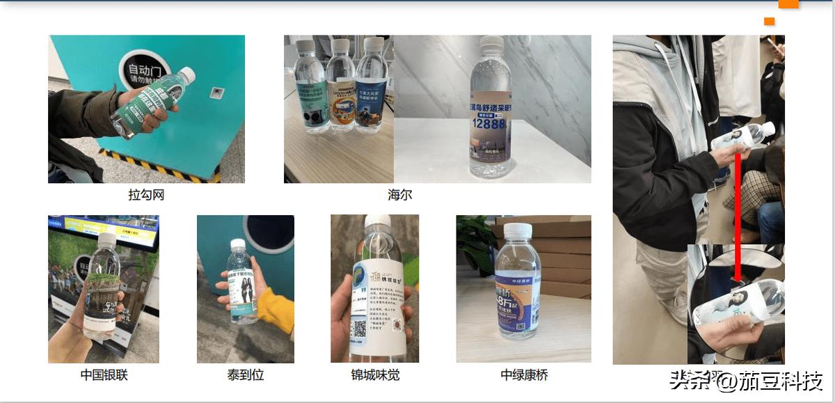 茄豆：用技术驱动可持续公益，创造多元社会价值