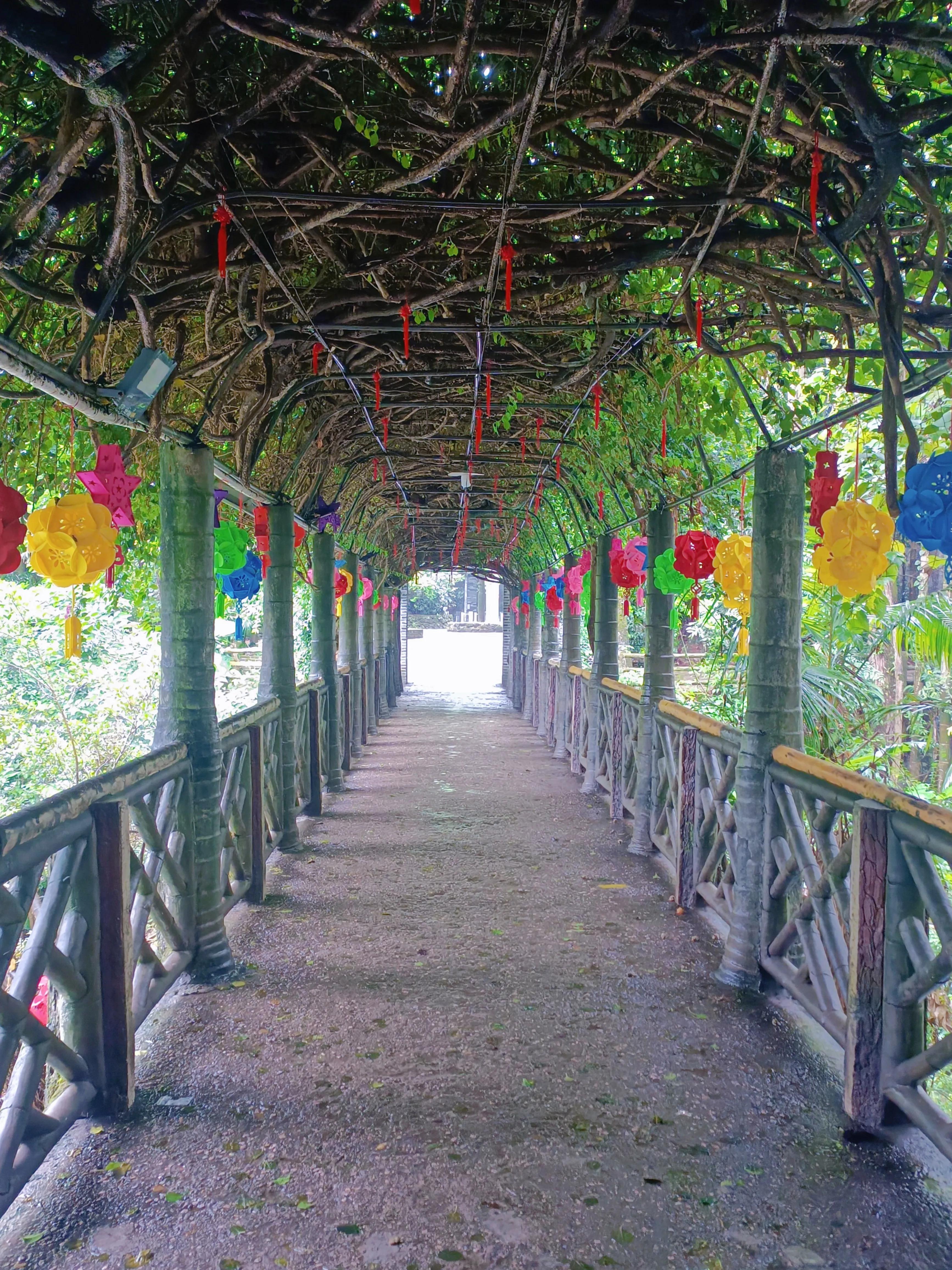 桂平西山一日游最佳攻略,桂平西山风景区图片