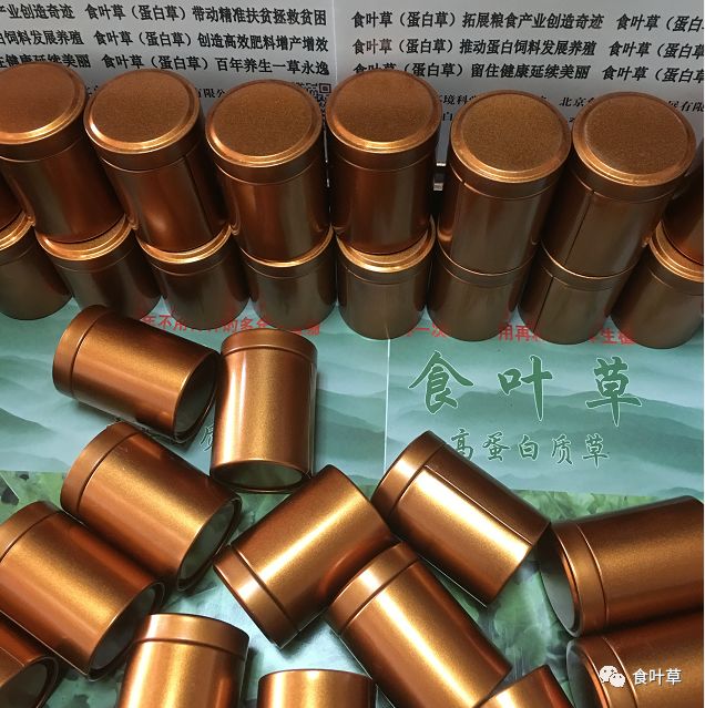 食叶草植物蛋白固体饮料,细品食叶草茶文化