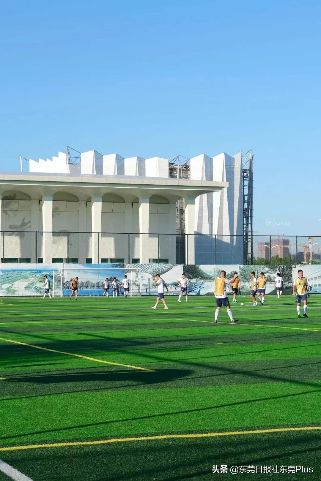 东莞可以看海和赏花的公园,东莞国庆看海游玩推荐