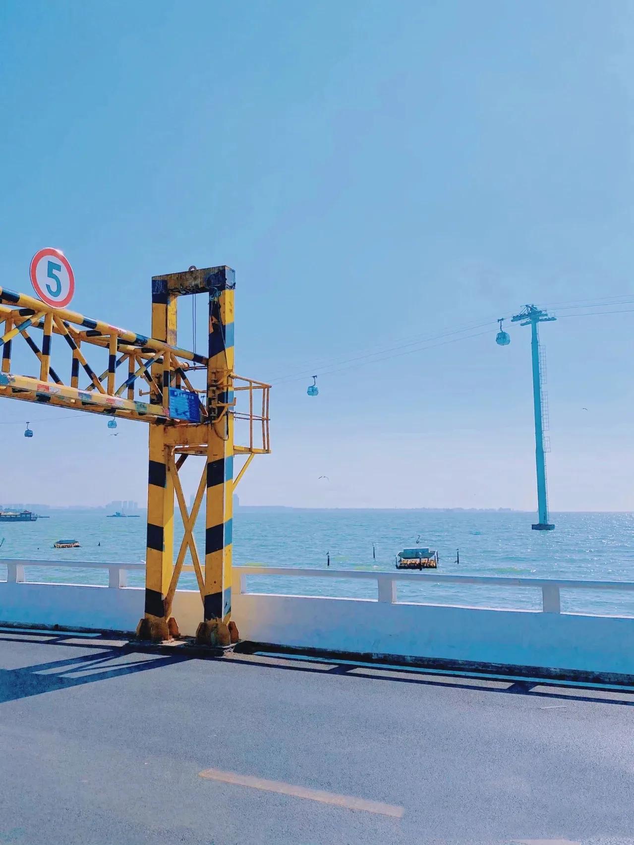 昆明野生动物园攻略一日游,昆明一日游攻略自驾游最佳路线