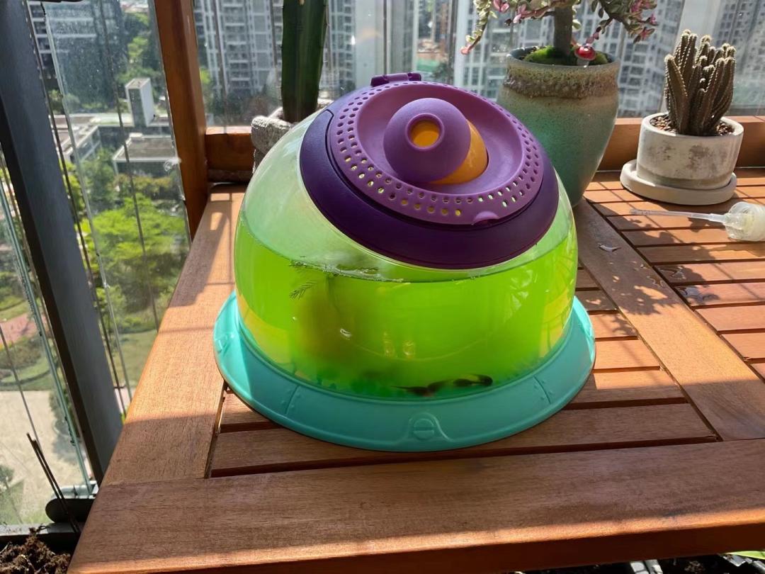 当孩子问你问题怎么回答,孩子问什么都不说怎么沟通