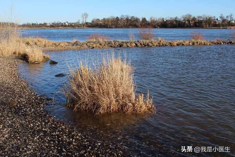 男性得了梅毒怎么治疗最有效,梅毒能彻底治疗除根吗