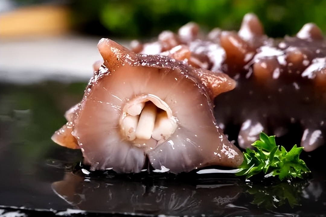 它历来被人们当作冬季进补的佳品,冬季滋补海参首选野生淡干海参