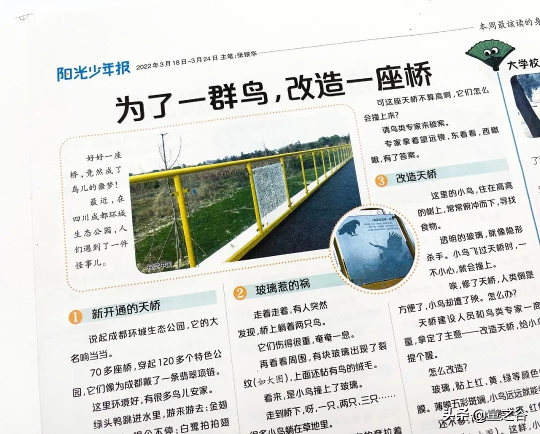 国内第一份新闻故事报,小学生也能轻松读懂时事热点