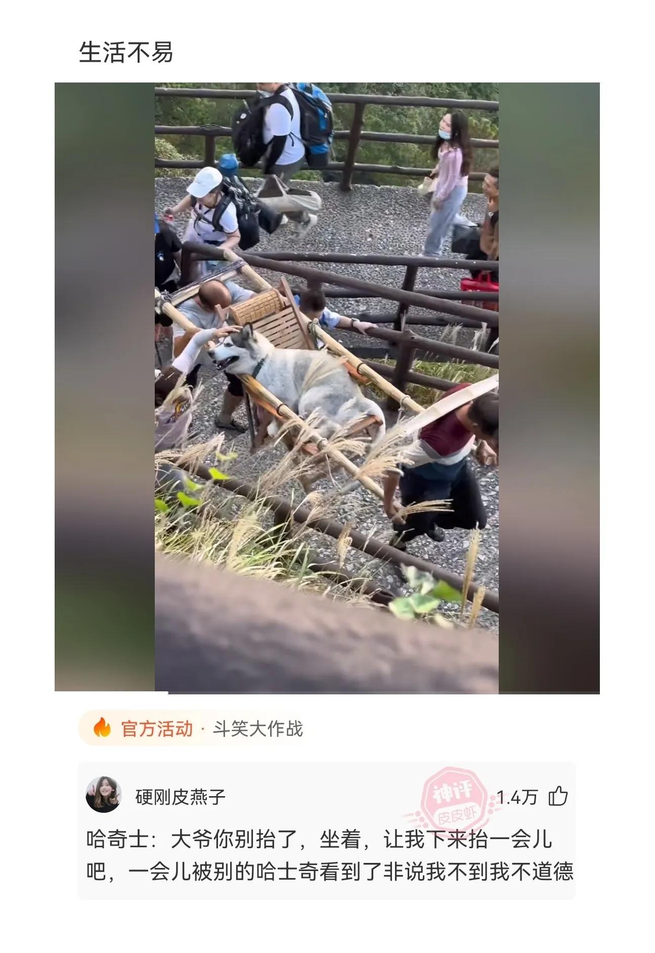 神回复：什么名字能拯救“蓝”这个姓氏？