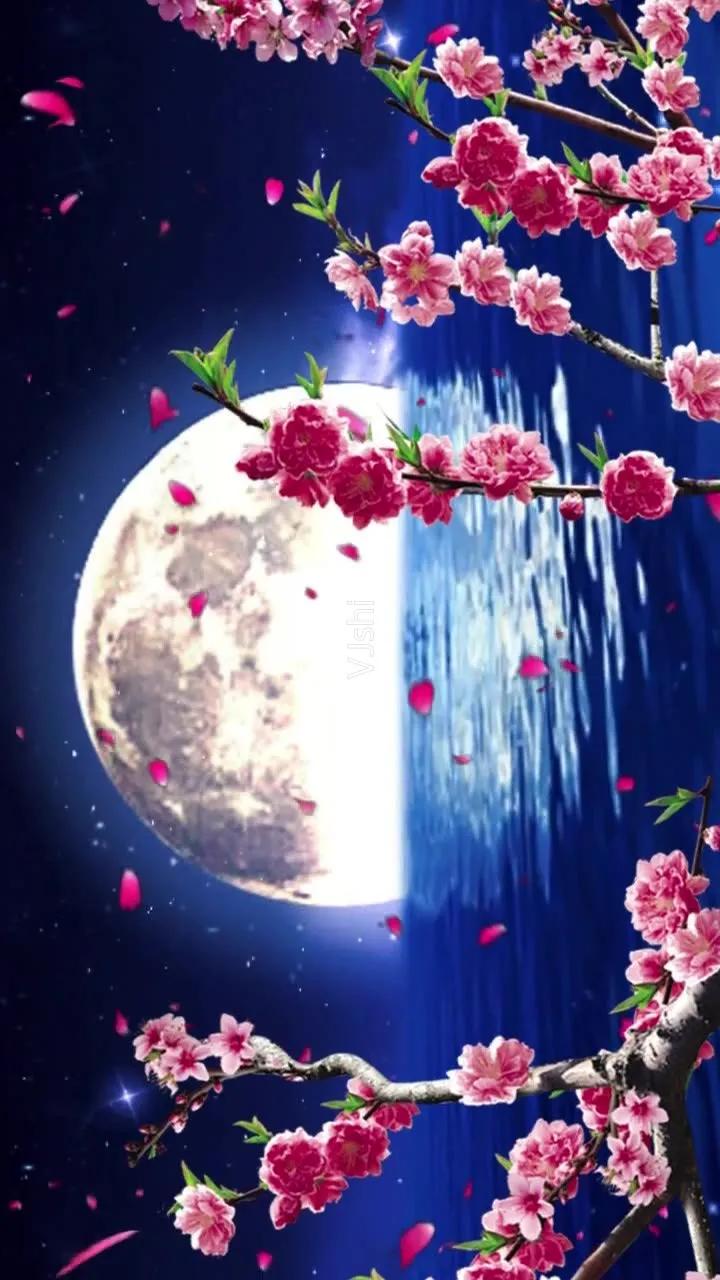 水边桃花月亮唯美图片,月亮竹影唯美图片