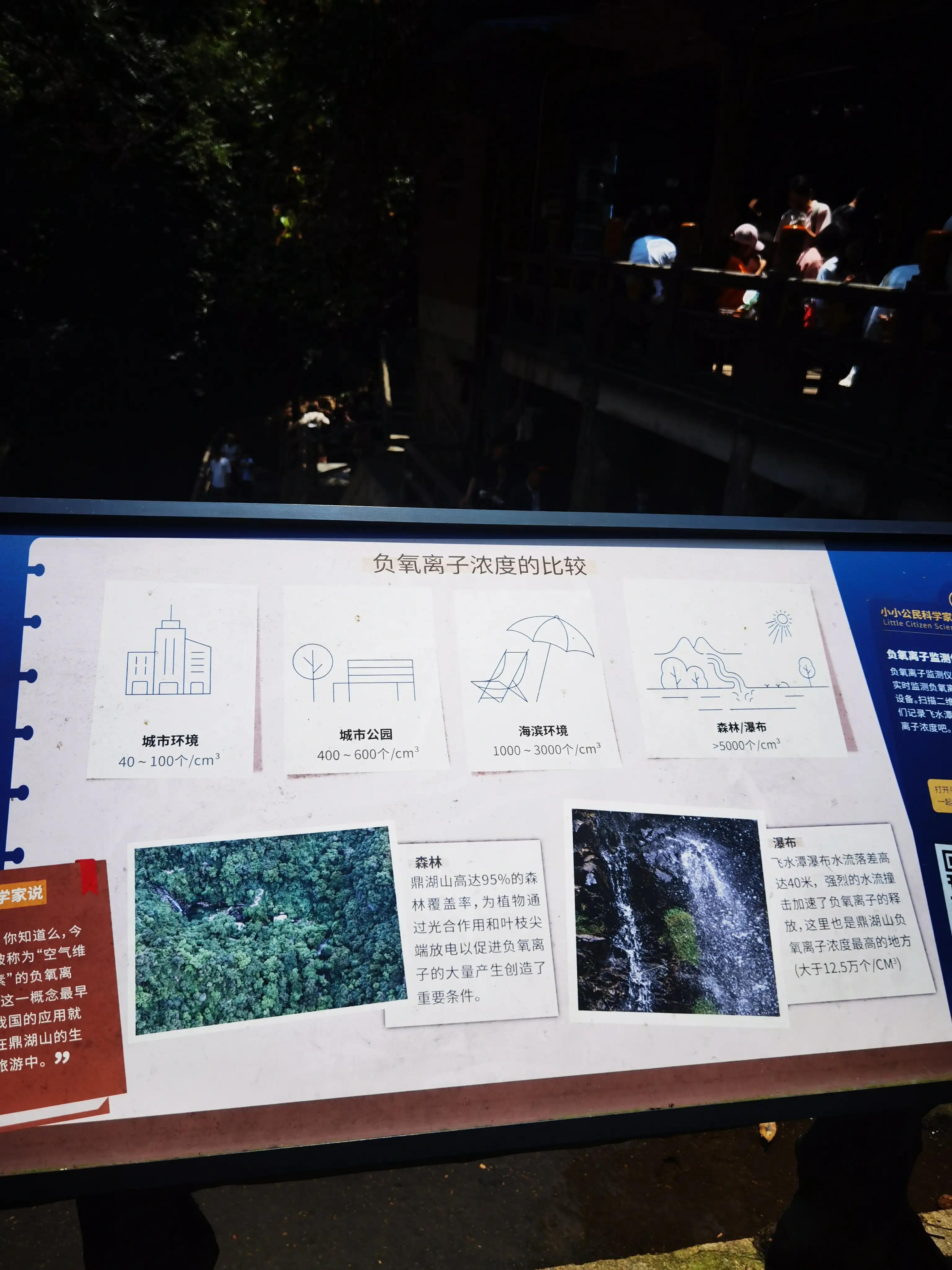 五一推荐去鼎湖山吗,鼎湖五一游攻略