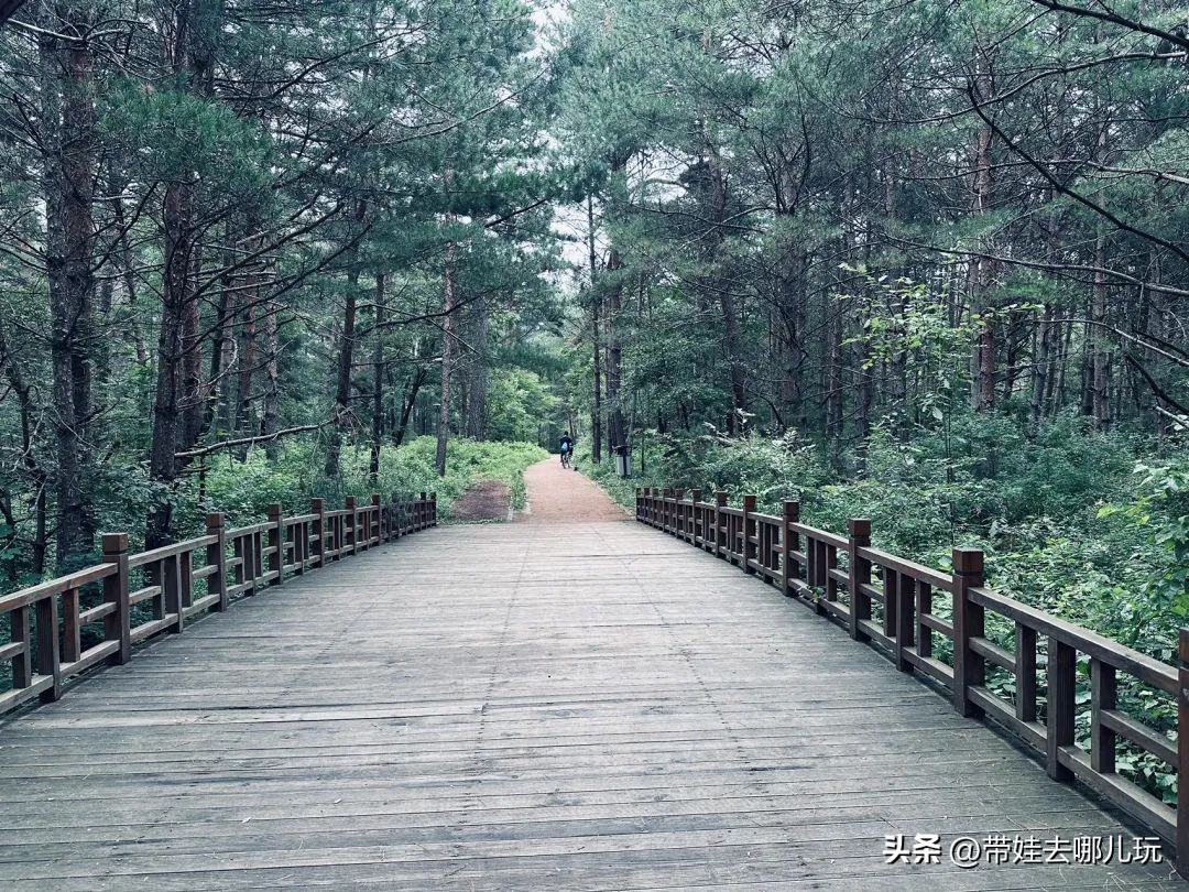 长白山二道白河旅游攻略7月游,自驾二道白河长白山旅游攻略