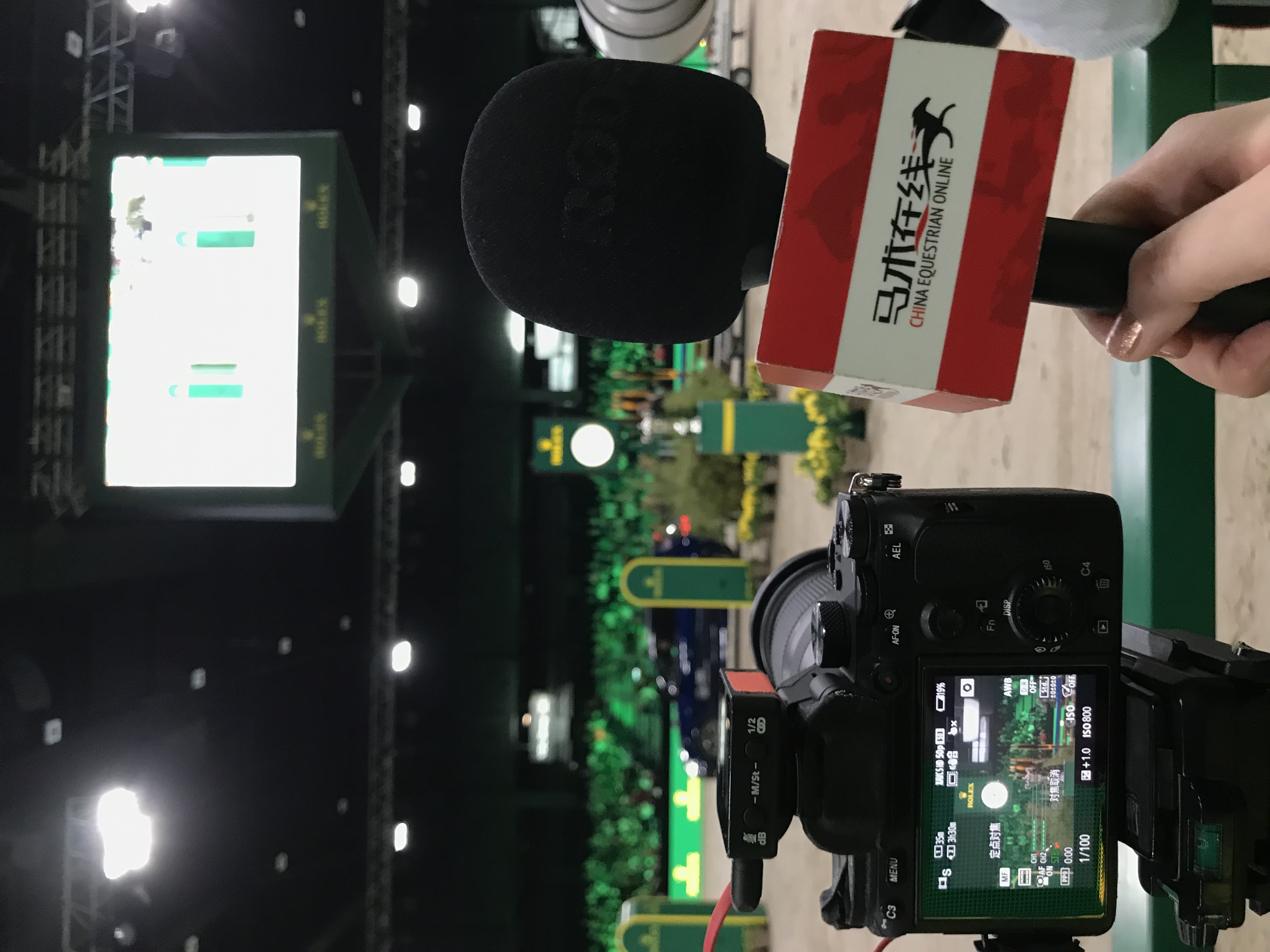 丹尼尔杜瑟马术图片,丹尼尔杜瑟马术