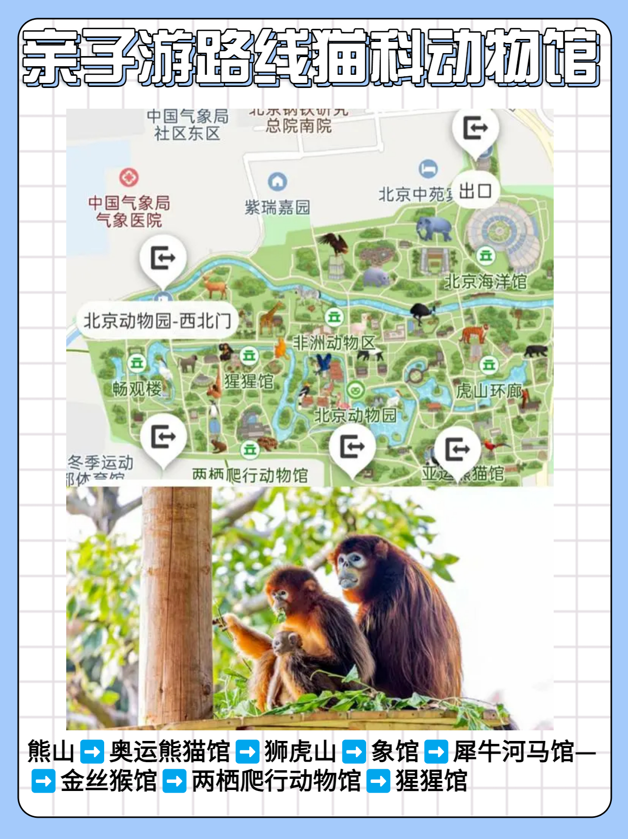 北京动物园游玩攻略路线图,游览北京动物园需要提前购票吗