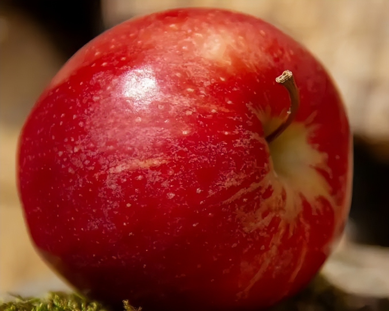 常吃花生能治便秘吗,经常吃生花生米可以治便秘吗
