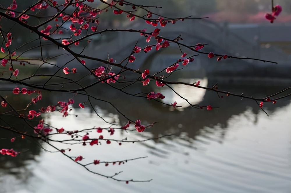 我是人间自在客好词好句,我是人间自在人全诗
