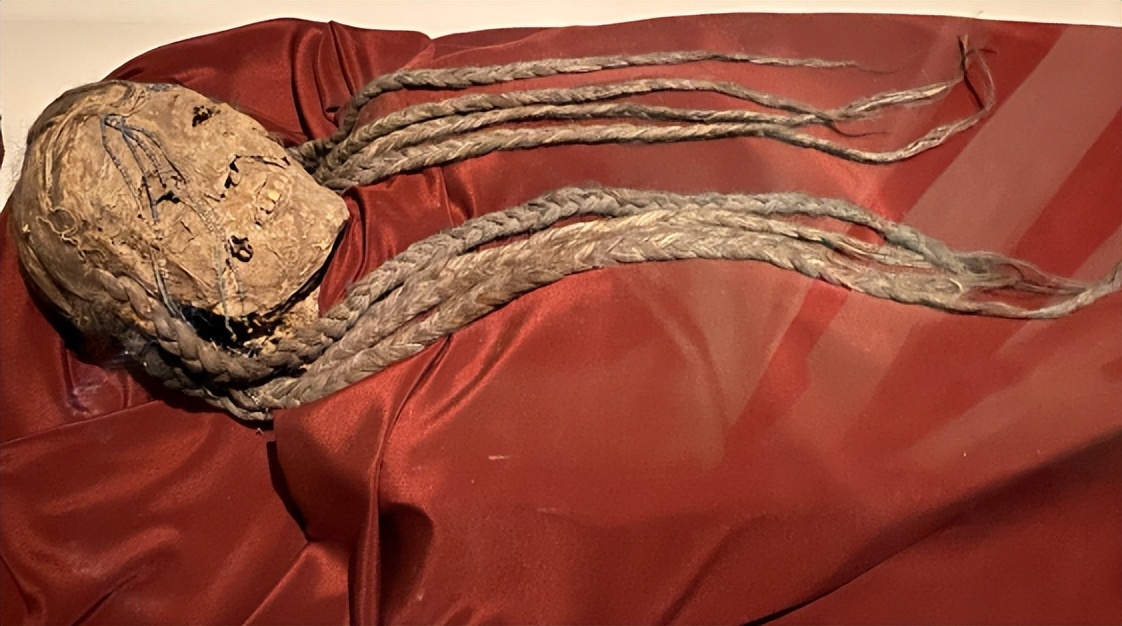 让尸体开口说话查案,让尸体说话纪录片