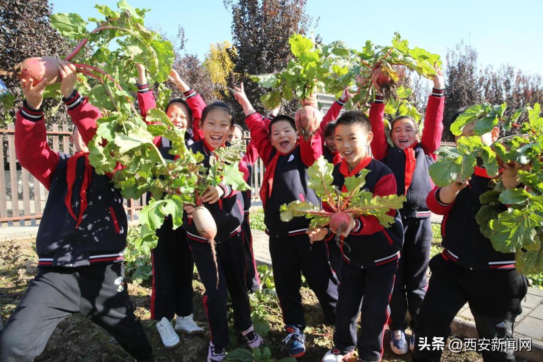 西安碑林区未来的发展,西安碑林区将作为第一批试点城