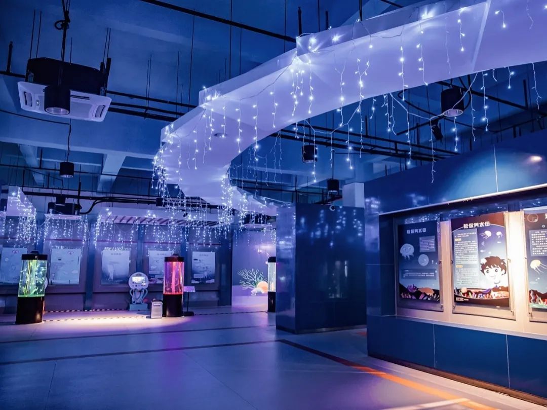 深圳户外亲子游最佳去处过年,深圳周边农庄亲子游