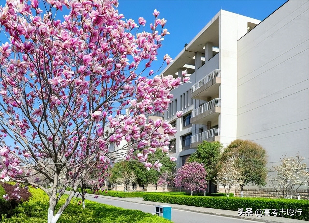 统计学是热门专业,统计学就业大热