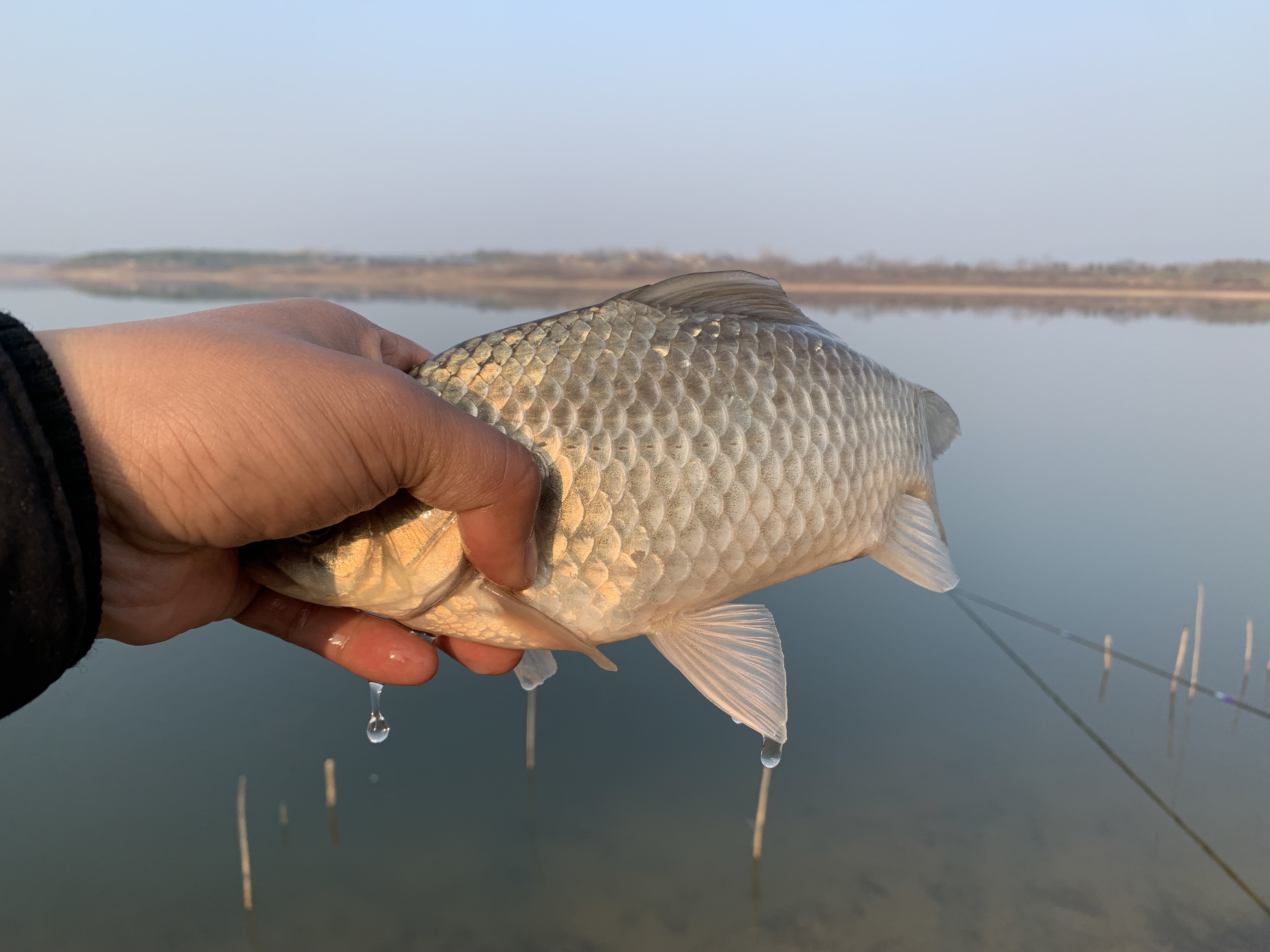 七星漂看不懂漂相怎么办,七星漂看不清怎么办