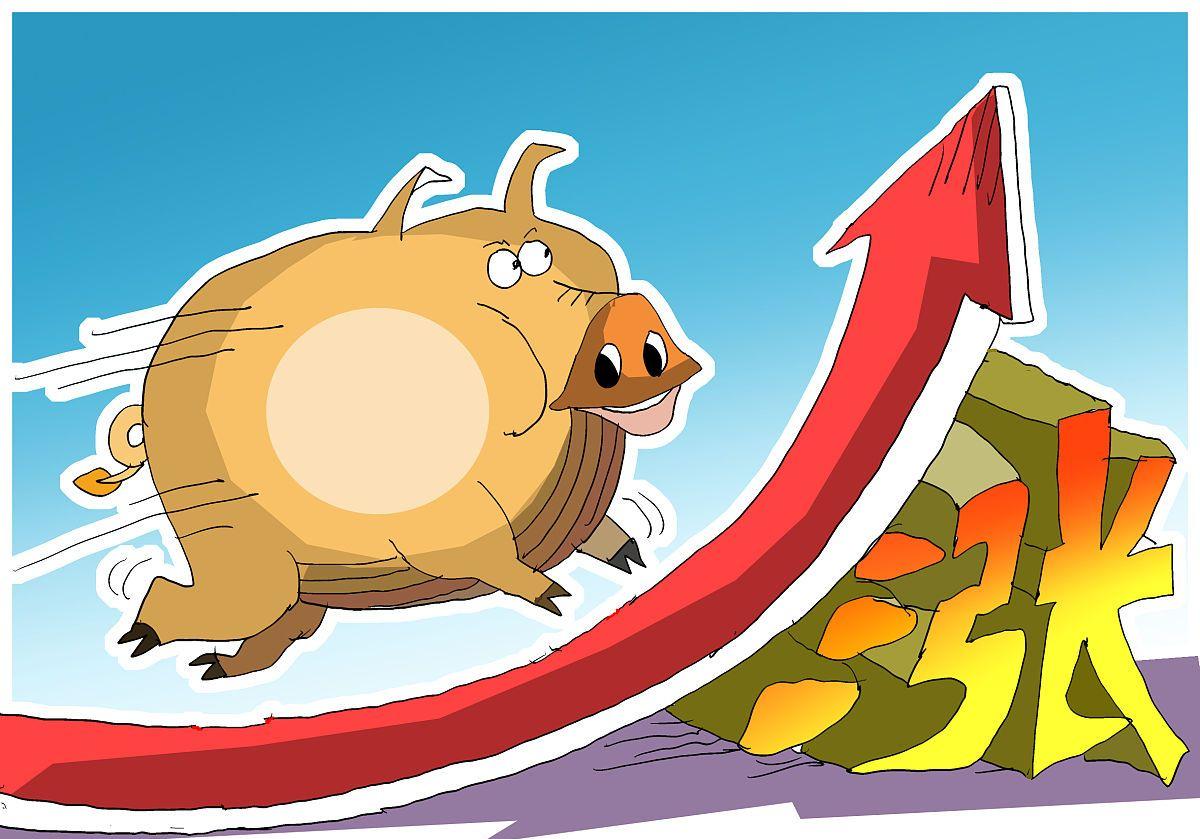 猪价持续下跌行情意外再筑新屏障,猪价连续回落短期供需或难改善