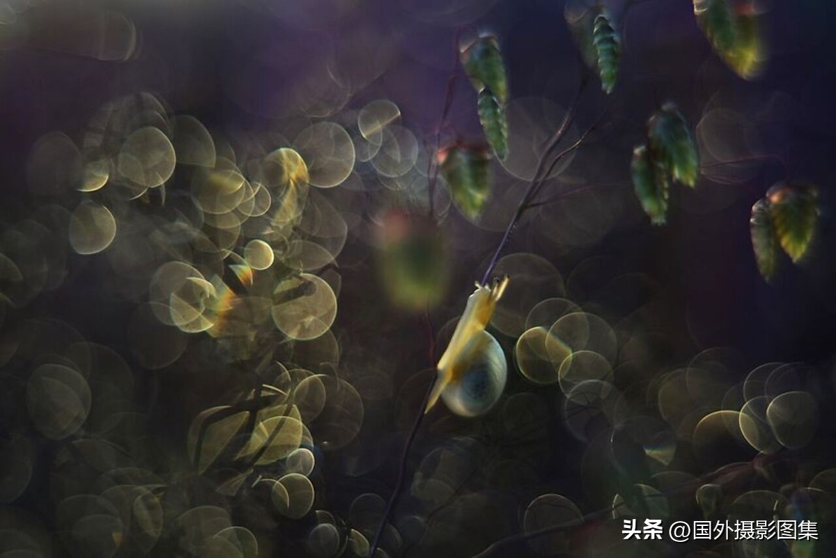 秋天最美大自然图片,春天最美的三十六张照片